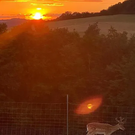 Landgasthof Zur Erholung Hotell Breitscheid (Rhineland-Palatinate)