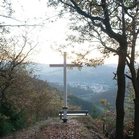 Hotell Landgasthof Zur Erholung Breitscheid (Rhineland-Palatinate)