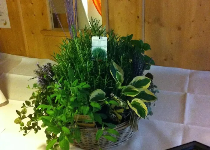 Landgasthof Zur Erholung ברייטשייד