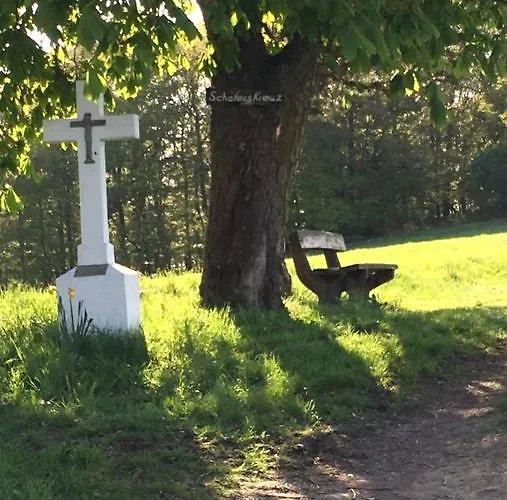 蓝哥祖尔荣酒店 酒店 Breitscheid (Rhineland-Palatinate)