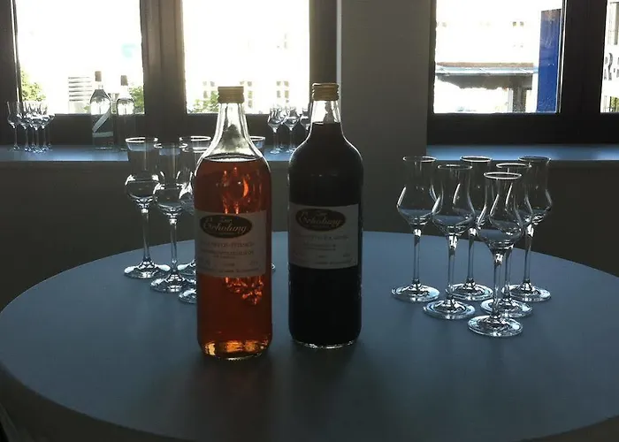 蓝哥祖尔荣酒店 酒店